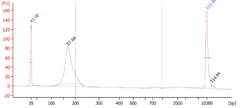 分写报告1.jpg 分写报告1.jpg