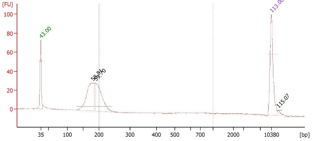 分写报告2.jpg 分写报告2.jpg