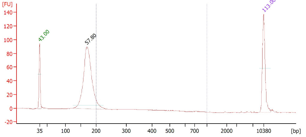 分写报告3.jpg 分写报告3.jpg
