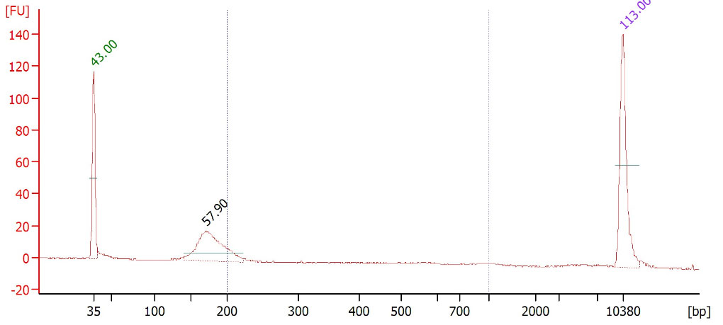 分写报告4.jpg 分写报告4.jpg