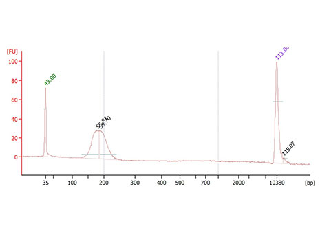 外周血游离DNA（cfDNA）提取纯化试剂盒