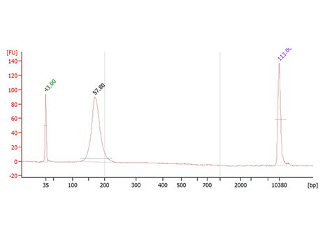 外周血游离DNA（cfDNA）提取纯化试剂盒