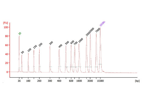 外周血游离DNA（cfDNA）提取纯化试剂盒