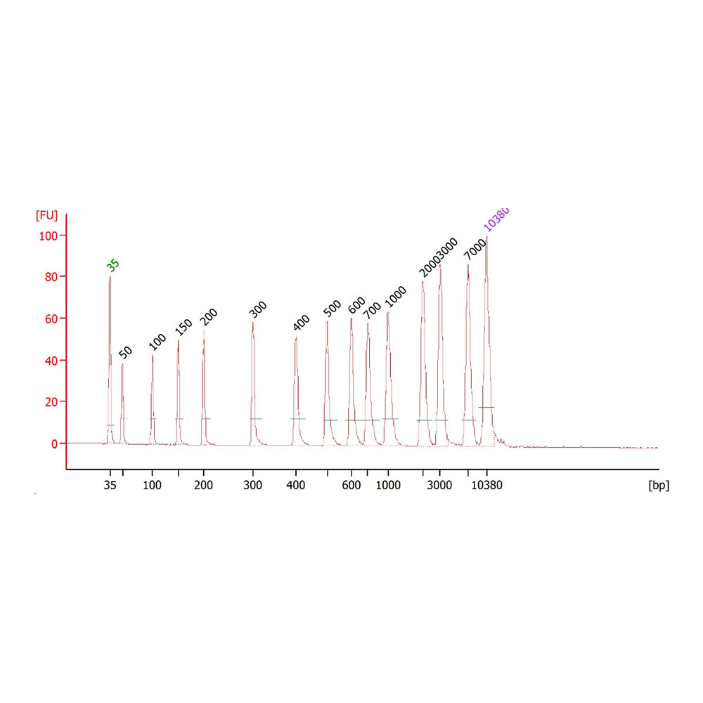 外周血游离DNA(cfDNA)提取纯化试剂盒 外周血游离DNA(cfDNA)提取纯化试剂盒