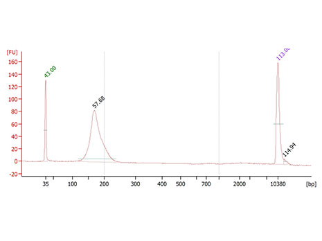 外周血游离DNA（cfDNA）提取纯化试剂盒